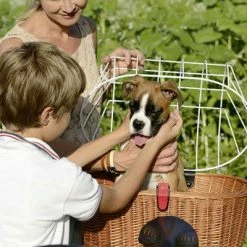 Kit Panier Vélo Chien Doggy Plus + Fixation GTA Klickfix -Default Template Soldes kit panier velo chien doggy plus fixation gta klickfix full 6