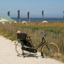 Panier Arrière Tressé Pour Vélo Weave WP Basil -Default Template Soldes panier arriere tresse pour velo weave wp basil full 6