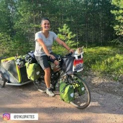 Sac De Vélo Pour Chien Doggy - KLICKfix -Default Template Soldes sac transport chat velo